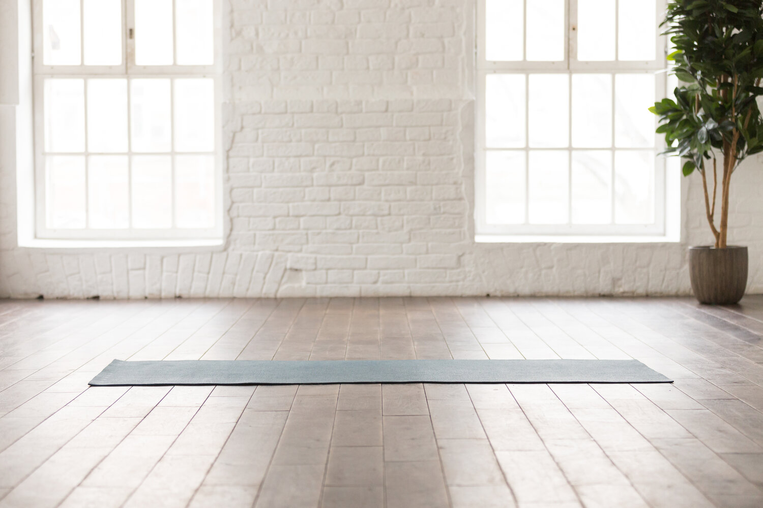 Health and Wellness